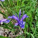 dscf5088-2719535