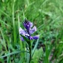 dscf5089-7780972
