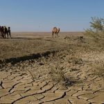 Вода и энергетика — общая осенняя задача Центральной Азии