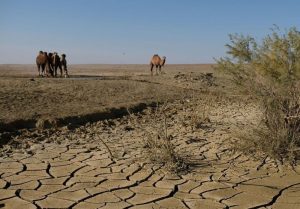 Вода и энергетика — общая осенняя задача Центральной Азии